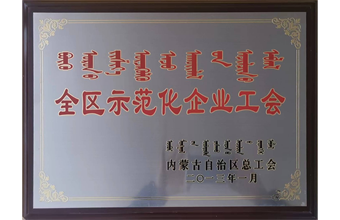 2013年获得全自治区示范化企业工会称号